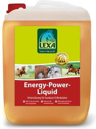 Lexa Pferdefutter Energy-Power-Liquid Nahrungsergänzung für Sport und Freizeit zur Unterstützung von Immunsystem, Verdauung sowie Haut und Fell 1000 ml – Bild 1 von 2