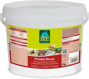 Lexa Pferdefutter Protein Boost Aufbaufutter für Muskelaufbau und Immunsystem 1 kg – Bild 1 von 2