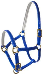 Produktbild von Lexhis Biothane Halfter Square Beadband für Pferde Blau