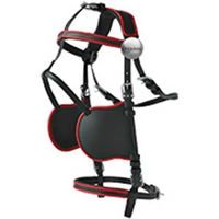 Produktbild von Lexhis Hanover Harnisch für Pferdegeschirr aus Nylon und PVC
