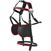 Produktbild von Lexhis Hanover Pferdegeschirr Harnisch aus Nylon und PVC in Schwarz für Ponys