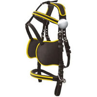Produktbild von Lexhis Hanover Pferdegeschirr Pony Schwarz