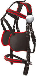 Lexhis Hanover Pferdegeschirr Pony Schwarz – Bild 1 von 1