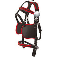 Produktbild von Lexhis Hanover Pferdegeschirr Pony Schwarz