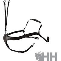 Produktbild von Lexhis Jagdhalsband für Pferde