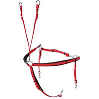 Produktbild von Lexhis Jagdhalsband für Pferde aus Biothane