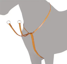 Produktbild von Lexhis Jagdhalsband für Pferde aus Leder in Braun oder Orange