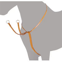 Produktbild von Lexhis Jagdhalsband für Pferde aus Leder in Braun oder Orange