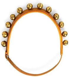 Produktbild von Lexhis Leder Collier für Pferde mit Belletten in Braun