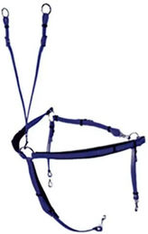Lexhis Raid Biothane Jagdhalsband für Pferde – Bild 1 von 1