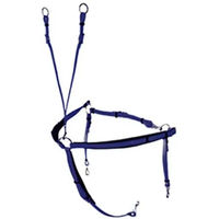 Produktbild von Lexhis Raid Biothane Jagdhalsband für Pferde