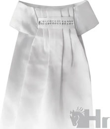 Produktbild von Lexhis Safia Plastron Damenbluse Weiß
