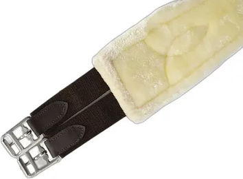 Produktbild von Lexhis Sattelgurt für Pferde aus Kunstleder in Braun oder Schwarz