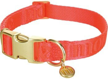 LIFESTYLEPETS Hundehalsband aus Nylon in Rot Grösse M wasserfest – Bild 1 von 2