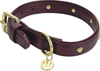 LIFESTYLEPETS Moli Hundehalsband mit Herz Design Größe XXS – Bild 1 von 1