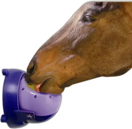 Likit Tongue Twister Futtertrog für Pferde aus Kunststoff in Lila Transparent – Bild 1 von 2