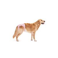 Produktbild von Lill's Läufigkeitshose Schutzhose für Hündinnen in XXL Rosa
