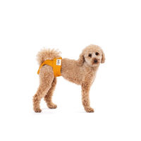 Produktbild von Lill's Läufigkeitshöschen für Hunde aus Bio-Baumwolle Gelb XXL