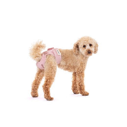 Produktbild von Lill's Läufigkeitshöschen Hundewindeln aus Bio-Baumwolle Rosa XXL
