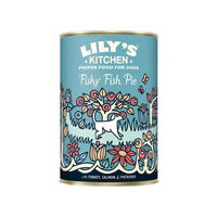 Produktbild von Lily's Kitchen Hundefutter Wild Campfire Stew Stückchen in Sauce 6 x 400 g