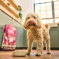 Produktbild von Lily's Kitchen Trockenfutter für ausgewachsene Hunde Ente Lachs und Hirsch Getreidefrei 7kg - 7 kg