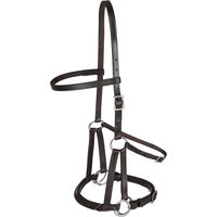 Produktbild von Linda Tellington Jones Lindel gebisslose Zäumung für Ponys aus Leder in Braun