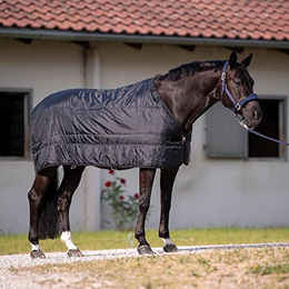 Liner NOORVIK PRO 200 Decken Schwarz - 200 g – Bild 1 von 2