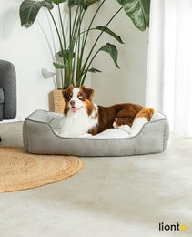 Lionto 2-in-1 Hundebett für Hunde und Katzen in Grau aus Kunstleder Größe L - 1 Stk. – Bild 1 von 6