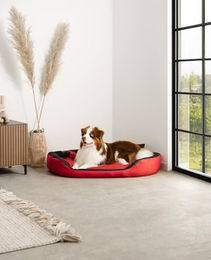 Lionto 4-in-1 Hundebett mit Wendekissen aus Oxford-Gewebe Grösse L Rot Schwarz – Bild 1 von 7