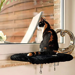 Lionto CozyView Katzenkissen aus Plüsch für Wohnungskatzen in Grau oder Schwarz – Bild 1 von 8