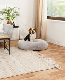 lionto Donut Hundebett und Katzenbett aus Plüsch Grau Größe L - 80 cm – Bild 1 von 6