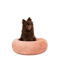 lionto Donut Hundebett und Katzenbett aus Plüsch in Rosa Größe S - 40 cm – Bild 1 von 13