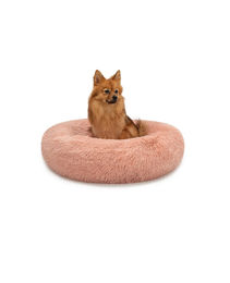 lionto Donut Hundebett und Katzenbett aus Plüsch rosa Größe L - 1 Stk. – Bild 1 von 6