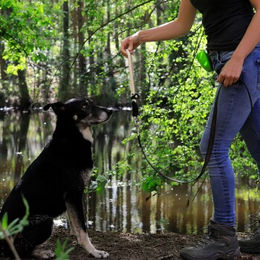 Lionto Erziehungshalsband für Hunde aus wasserfestem Nylon in Beige XL mit 65 cm Länge - 1 Stk. – Bild 1 von 4