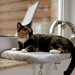lionto Fensterliege für Katzen aus Plüsch in Grau 35x50 cm mit abnehmbarem und waschbarem Bezug – Bild 1 von 5