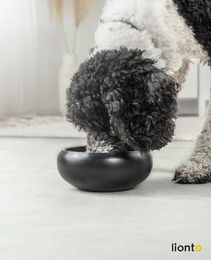 lionto Futternapf aus Edelstahl in Schwarz mit rutschfesten Silikonpads für Hunde und Katzen 1070 ml - 1070 ml – Bild 1 von 8