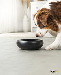 lionto Futternapf aus Edelstahl Schwarz mit rutschfesten Silikonpads 2000 ml für Hunde und Katzen - 2000 ml – Bild 1 von 8