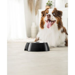 lionto Futternapf aus Melamin und Edelstahl mit Anti-Rutsch Boden für Hunde und Katzen Schwarz 940 ml - 0,94 l – Bild 1 von 8