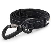 Produktbild von lionto Hundeführleine reflektierend und gummiert aus Nylon mit Handschlaufe Schwarz 120 cm - 1,2 m