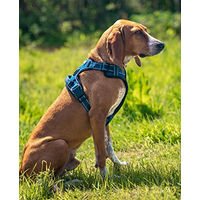 Produktbild von lionto Hundegeschirr Y-Geschirr aus Nylon blau Größe M