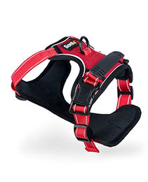 lionto Hundegeschirr Y-Geschirr aus Nylon rot XL reflektierend – Bild 1 von 8