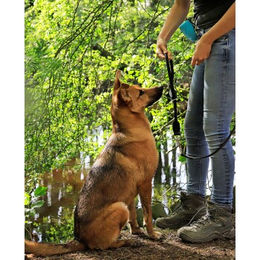 lionto Hundehalsband aus Nylon für das Hundetraining schwarz Größe M wasserfest - 45 cm – Bild 1 von 4