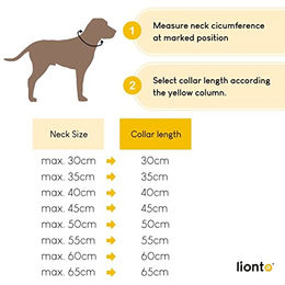 lionto Hundehalsband aus Nylon für Erziehung und Training wasserfest beige XS - 1 Stk. – Bild 1 von 3