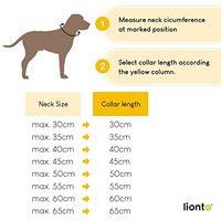 Produktbild von lionto Hundehalsband aus Nylon für Erziehung und Training wasserfest beige XS - 1 Stk.