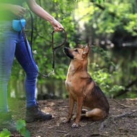 Produktbild von lionto Hundehalsband aus Nylon für Hundetraining braun wasserfest Größe L - 1 Stk.