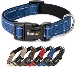 Lionto Hundehalsband aus Nylon in Blau Größe M wasserabweisend – Bild 1 von 7
