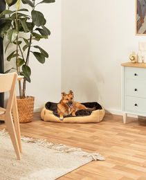 lionto Hundekissen aus Plüsch mit Wendekissen und rutschfester Unterseite für Hunde und Katzen in Beige/Braun Größe L – Bild 1 von 8