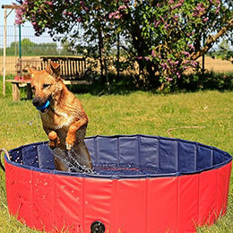 Lionto Hundepool faltbar aus kratzfestem Kunststoff in Blau/Rot mit Abflussstopfen - 80 cm – Bild 1 von 13