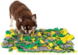 lionto Intelligenzspielzeug Schnüffelteppich für Hunde und Katzen aus Stoff, Suchmatte gelb/grün – Bild 1 von 13