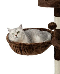 lionto Katzen Liegemulde aus Plüsch in Braun mit Metallrahmen Ø 40 cm – Bild 1 von 6
